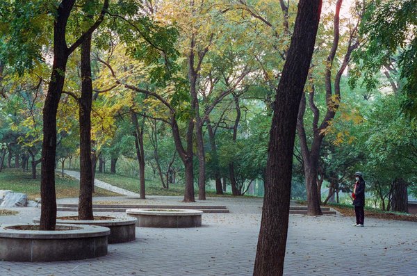 Stress et Diminution de la Libido : Découvrez les Causes et Solutions Efficaces