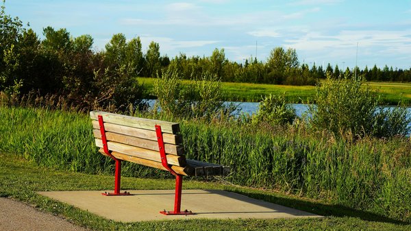Poudre de maqui bio 250g : un superaliment à découvrir !
